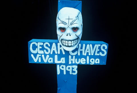 MECA Day of the Dead Festival