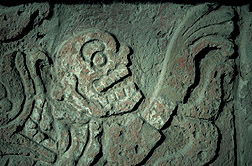 Photo by Mark D. Lacy