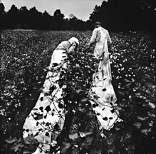Photograph by Bill Steber