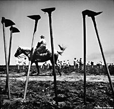 Photograph by Bill Steber