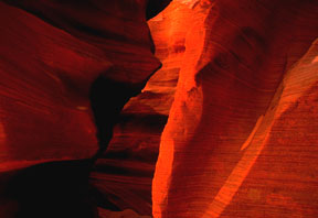 Water Holes Canyon by M. Lacy