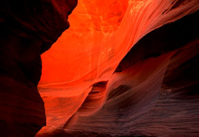 Water Holes Canyon by M. Lacy