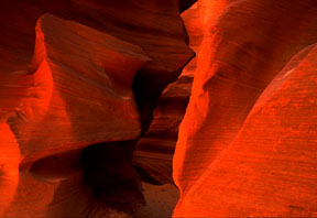 Water Holes Canyon by M. Lacy